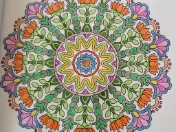 whatsapp bild 2023-07-11 um 12.27.21